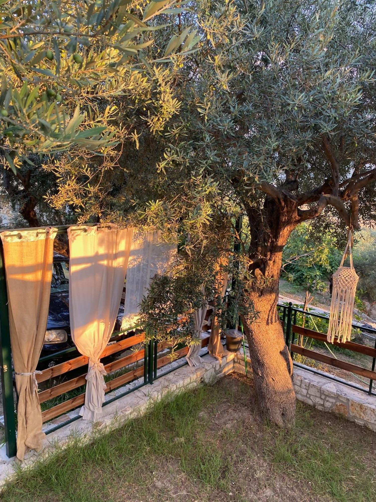 Liodentro - Olea Villa Plataria Bagian luar foto