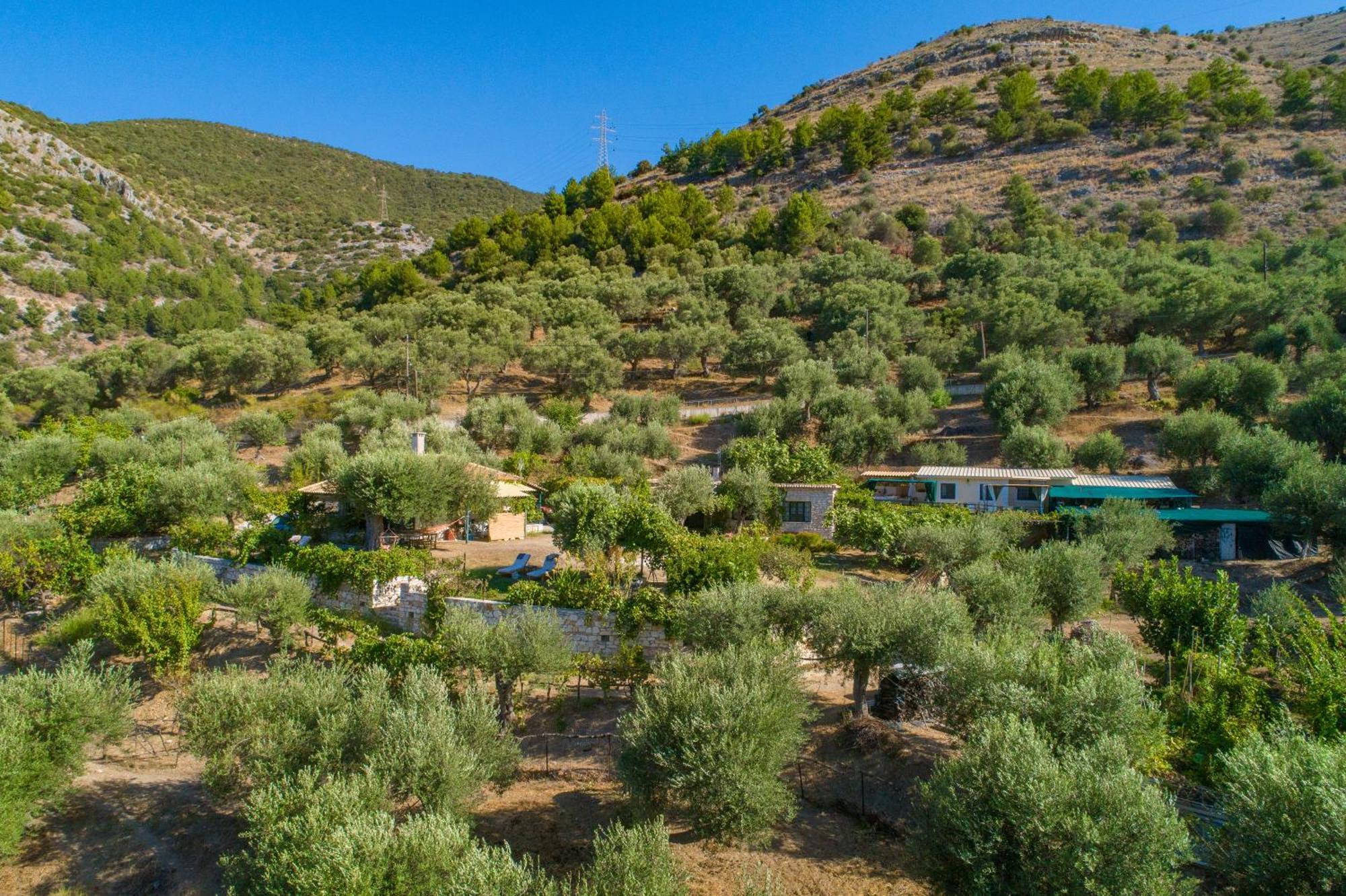 Liodentro - Olea Villa Plataria Bagian luar foto