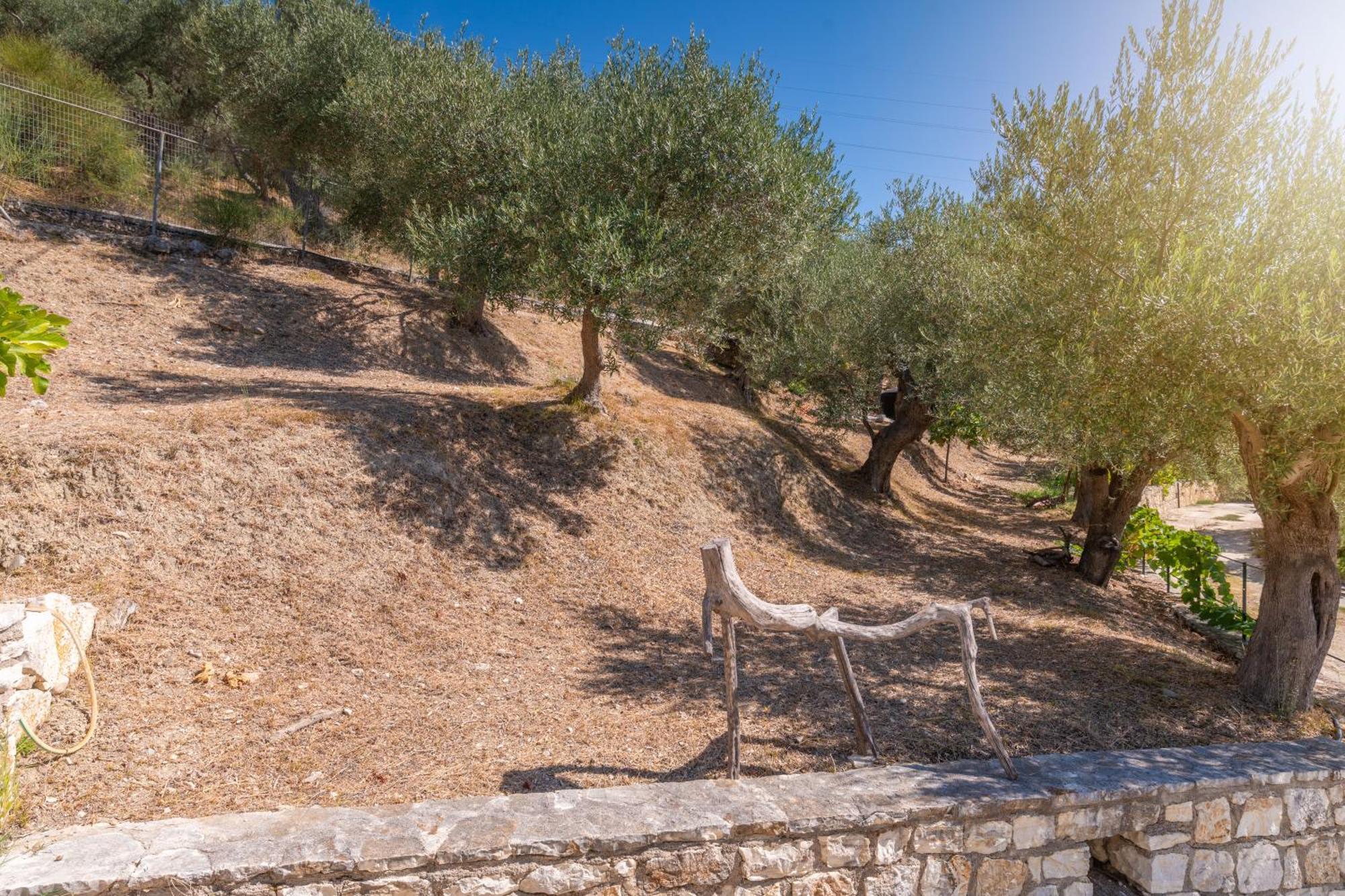 Liodentro - Olea Villa Plataria Bagian luar foto