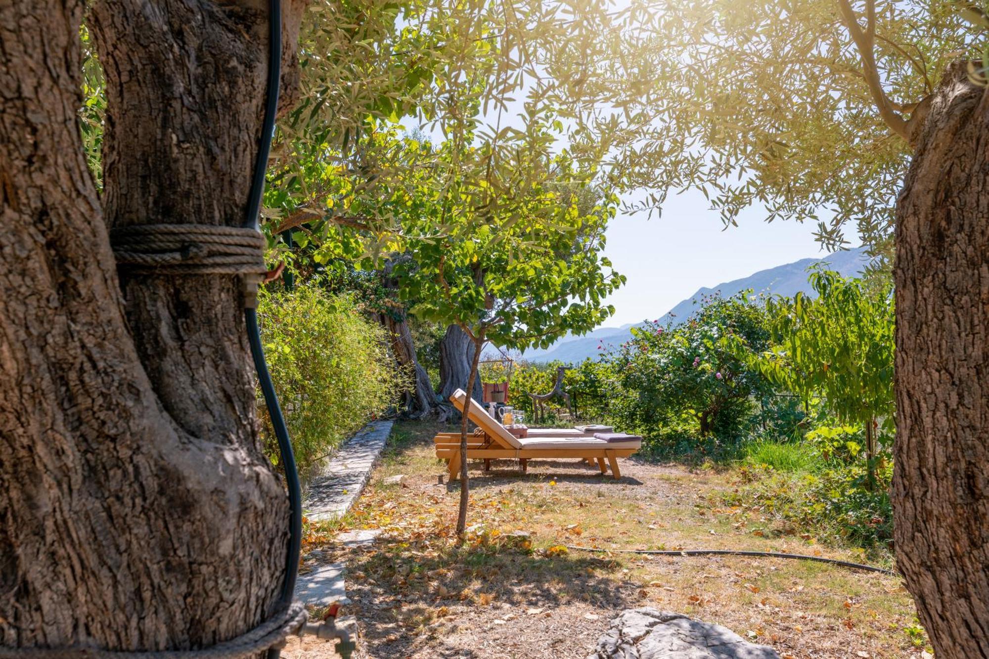 Liodentro - Olea Villa Plataria Bagian luar foto