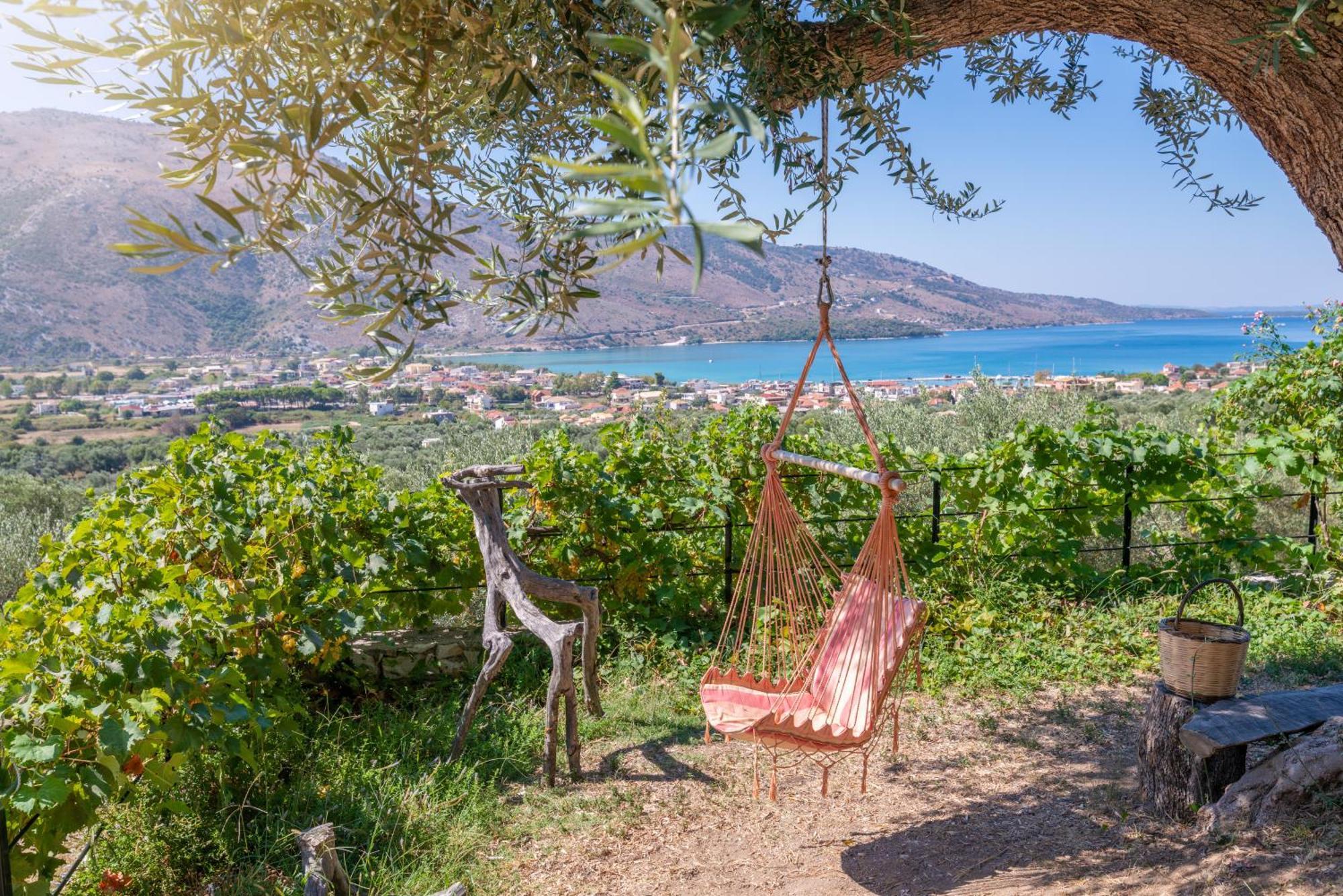 Liodentro - Olea Villa Plataria Bagian luar foto