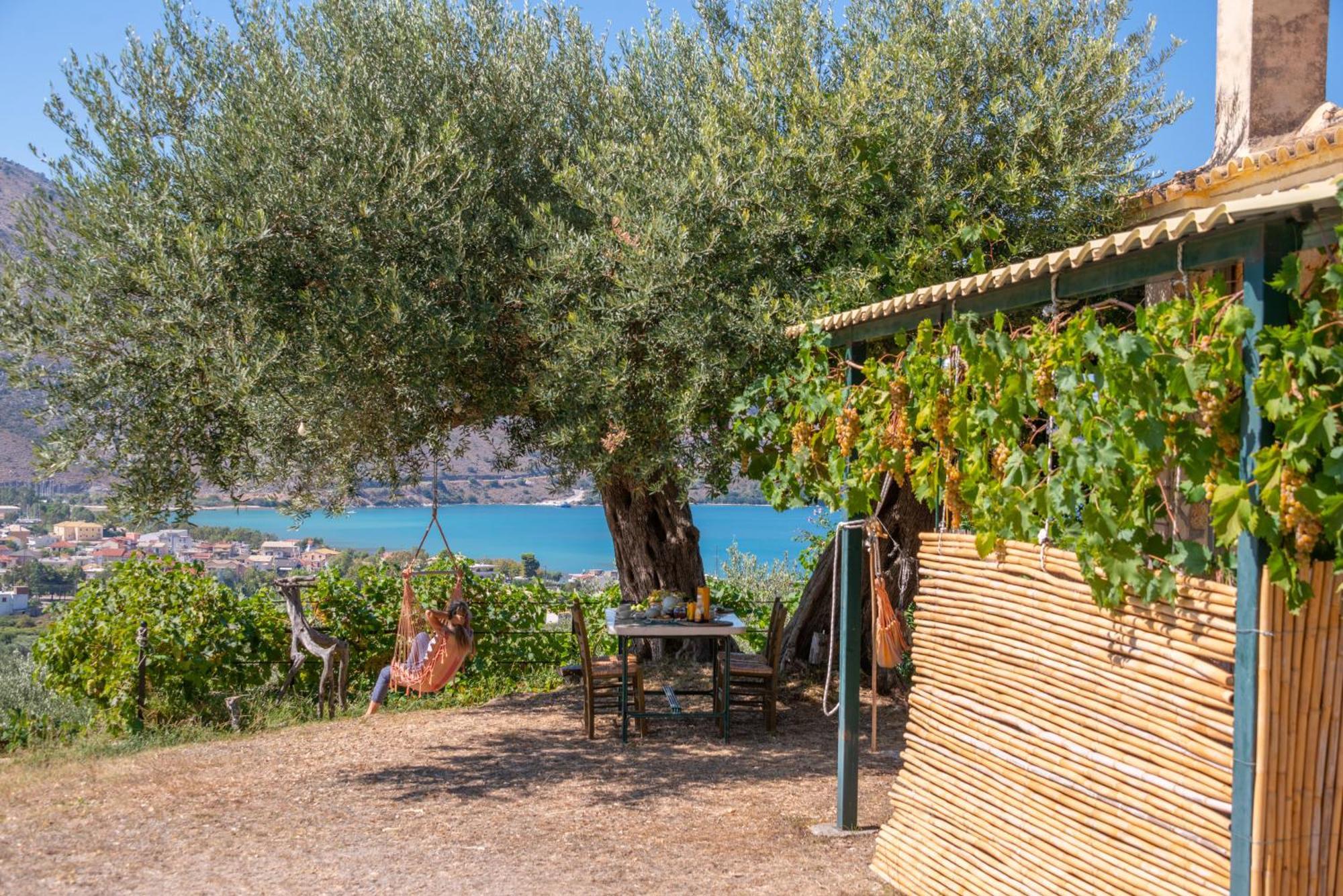 Liodentro - Olea Villa Plataria Bagian luar foto