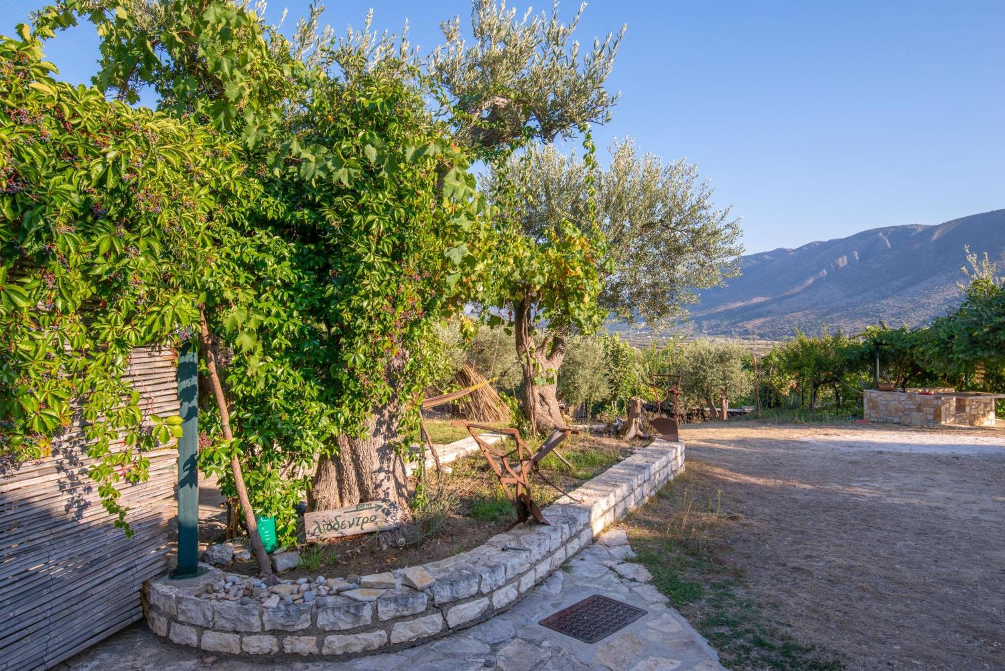 Liodentro - Olea Villa Plataria Bagian luar foto