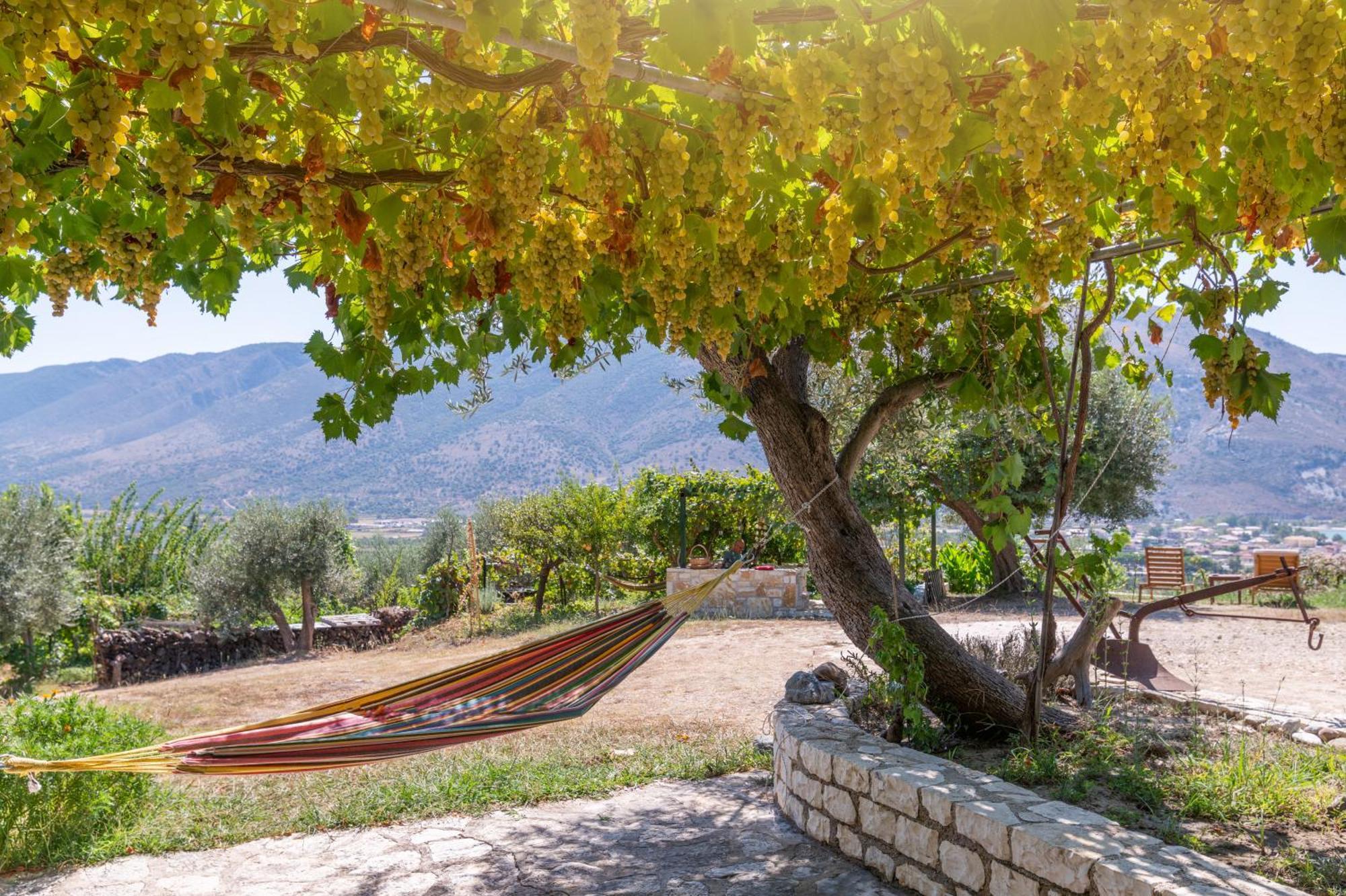 Liodentro - Olea Villa Plataria Bagian luar foto