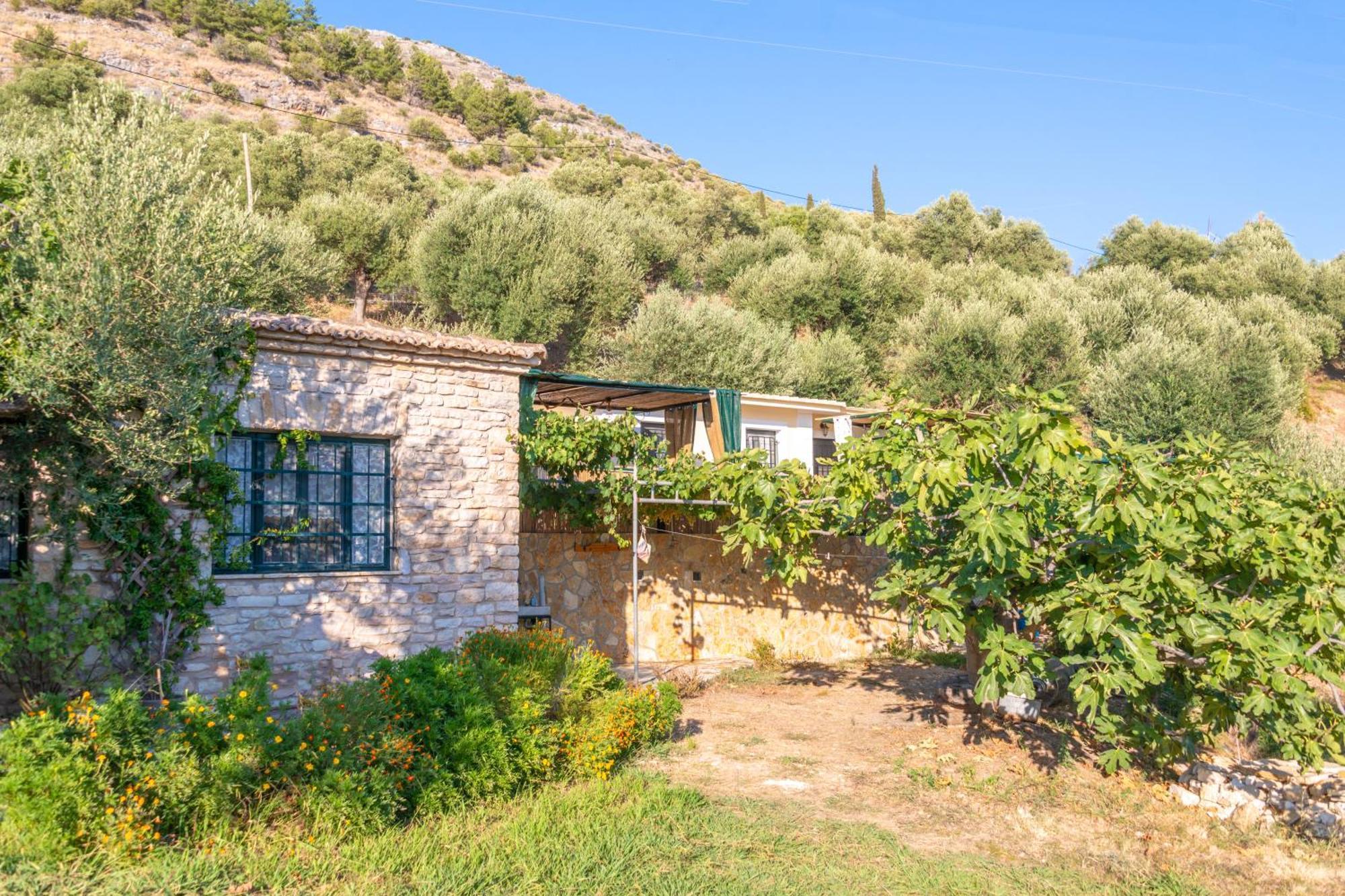 Liodentro - Olea Villa Plataria Bagian luar foto