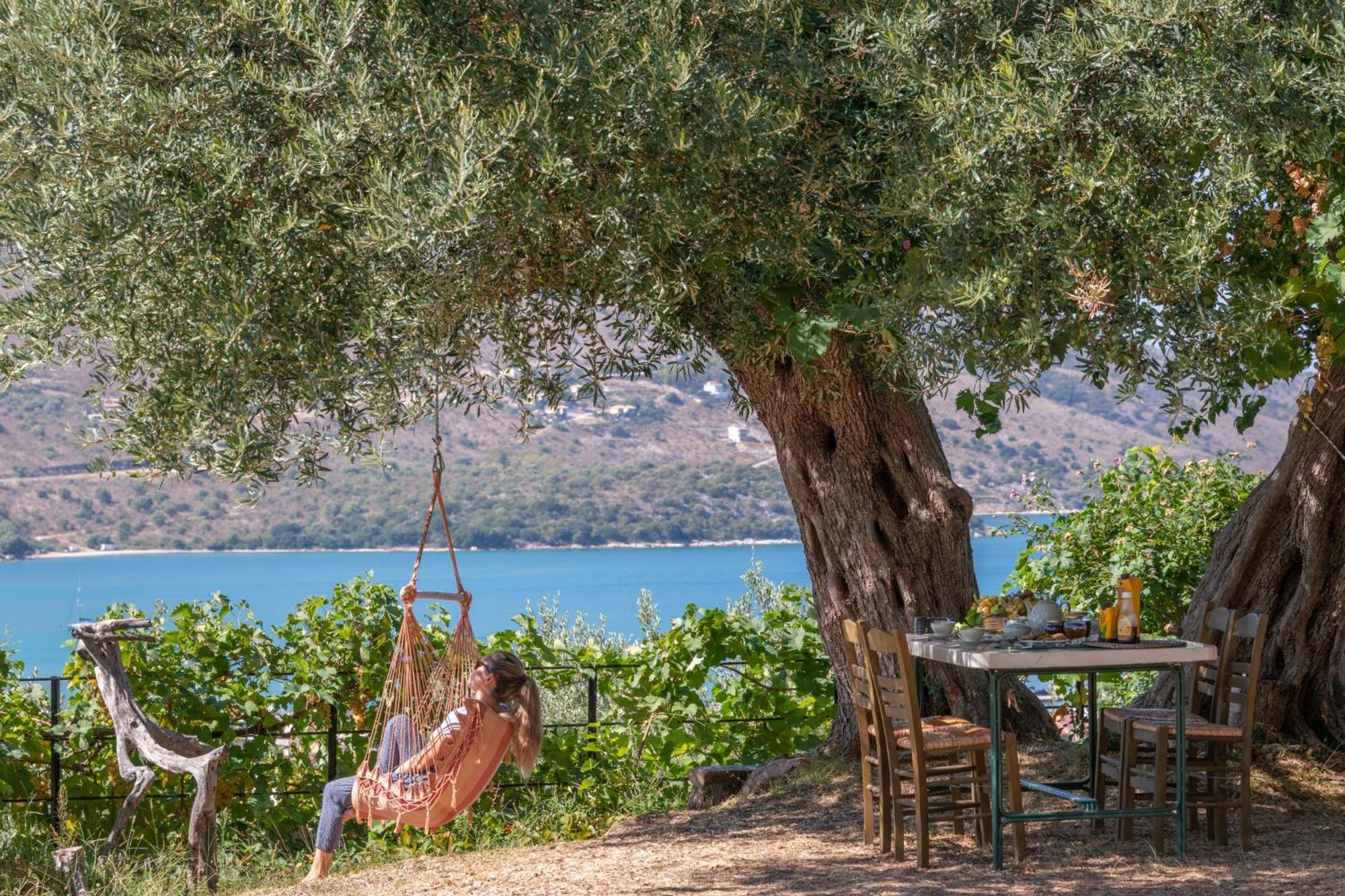 Liodentro - Olea Villa Plataria Bagian luar foto